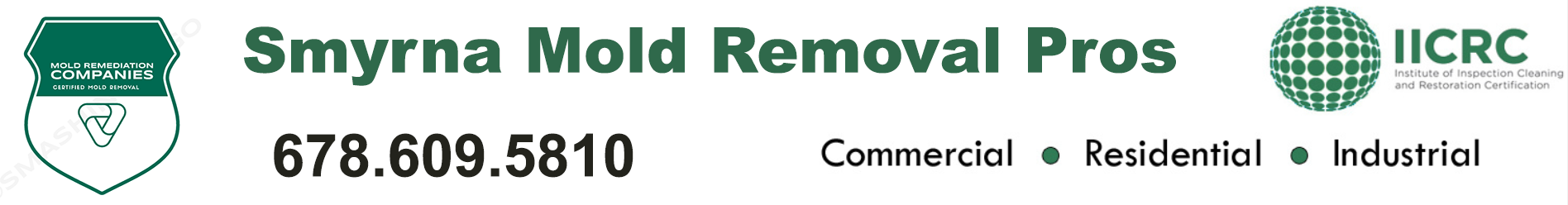 Smyrna Mold Removal Pros